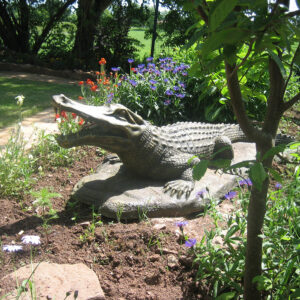 Garden crocodile